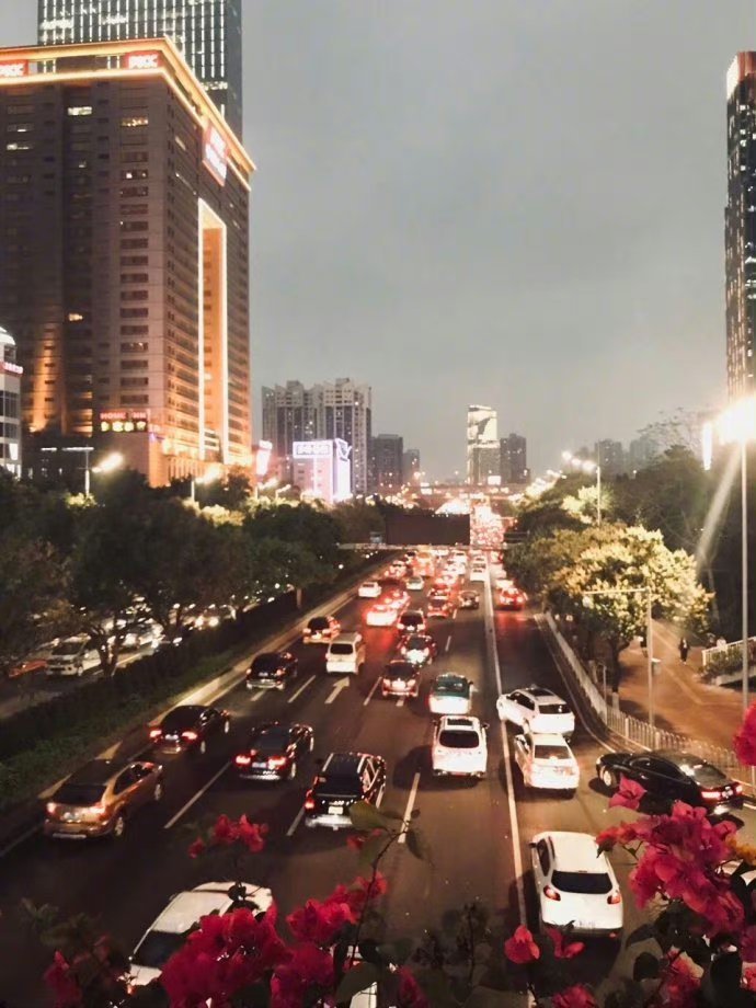 越是忙碌，就越是要小心生活的鸡零狗碎，不要被无谓的人事消耗，不要在生活的泥潭里打