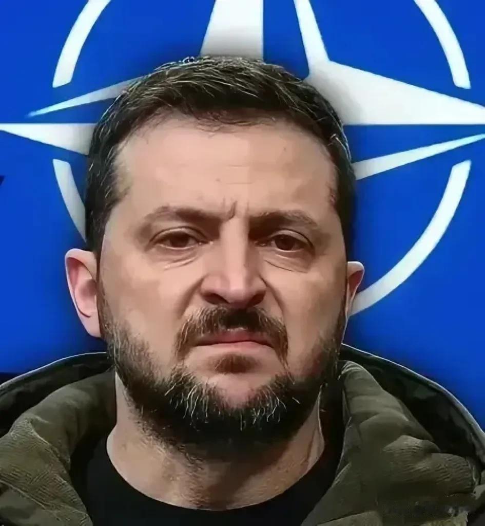 一个亲美、一个亲俄，同样身处战争泥塘的国家，谁更幸福一目了然。
叙利亚和乌克兰同
