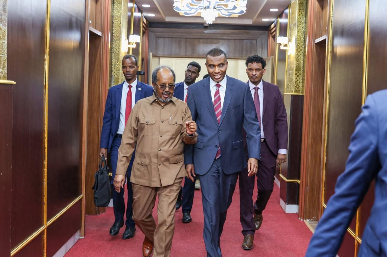 中国撑腰效果立竿见影，索马里终止与阿联酋所有协议，丝毫不惧以色列威胁！


红海