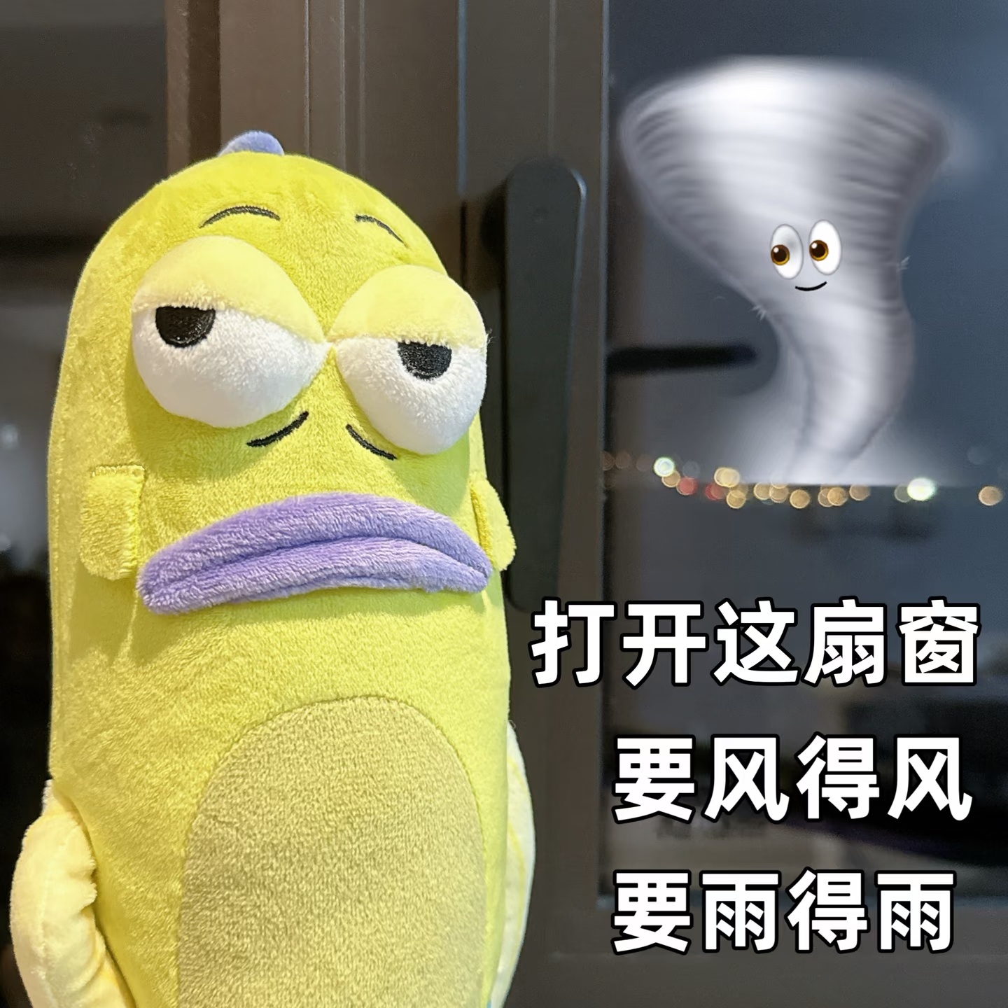 台风巴威二次登陆雨没多大 倒是风呜呜吹🌬️🌪️ 