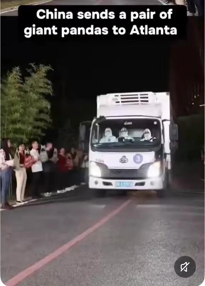 快讯：大熊猫平平和福双，周日乘坐联邦快递包机从四川省成都市双流国际机场起飞，目的