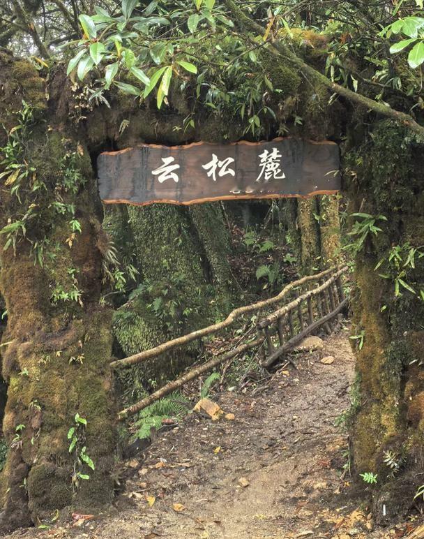 十一腾冲别乱玩‼️毛毛球森林保姆级徒步攻略
听劝❗️❗️ 国庆来腾冲 千万别再只