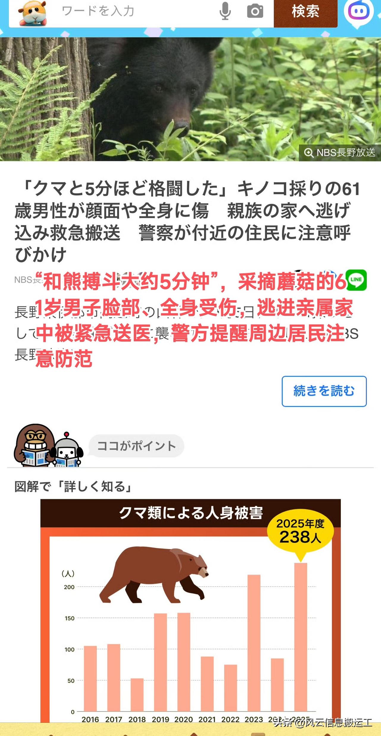 日本媒体新闻，日本61岁老人进山采蘑菇，遇到熊搏斗5分钟，最后还能跑到亲戚家中，