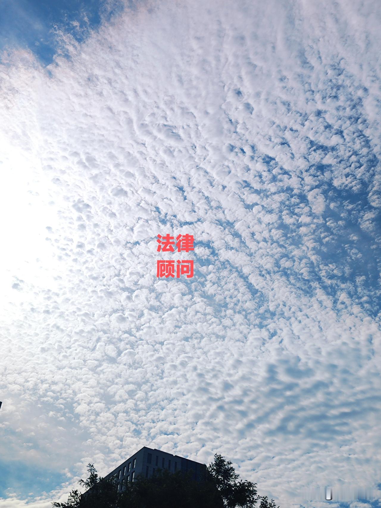唐朝官衔制度完整体系（分初唐/盛唐主流，分三省六部、九寺五监、地方官、武官、散官
