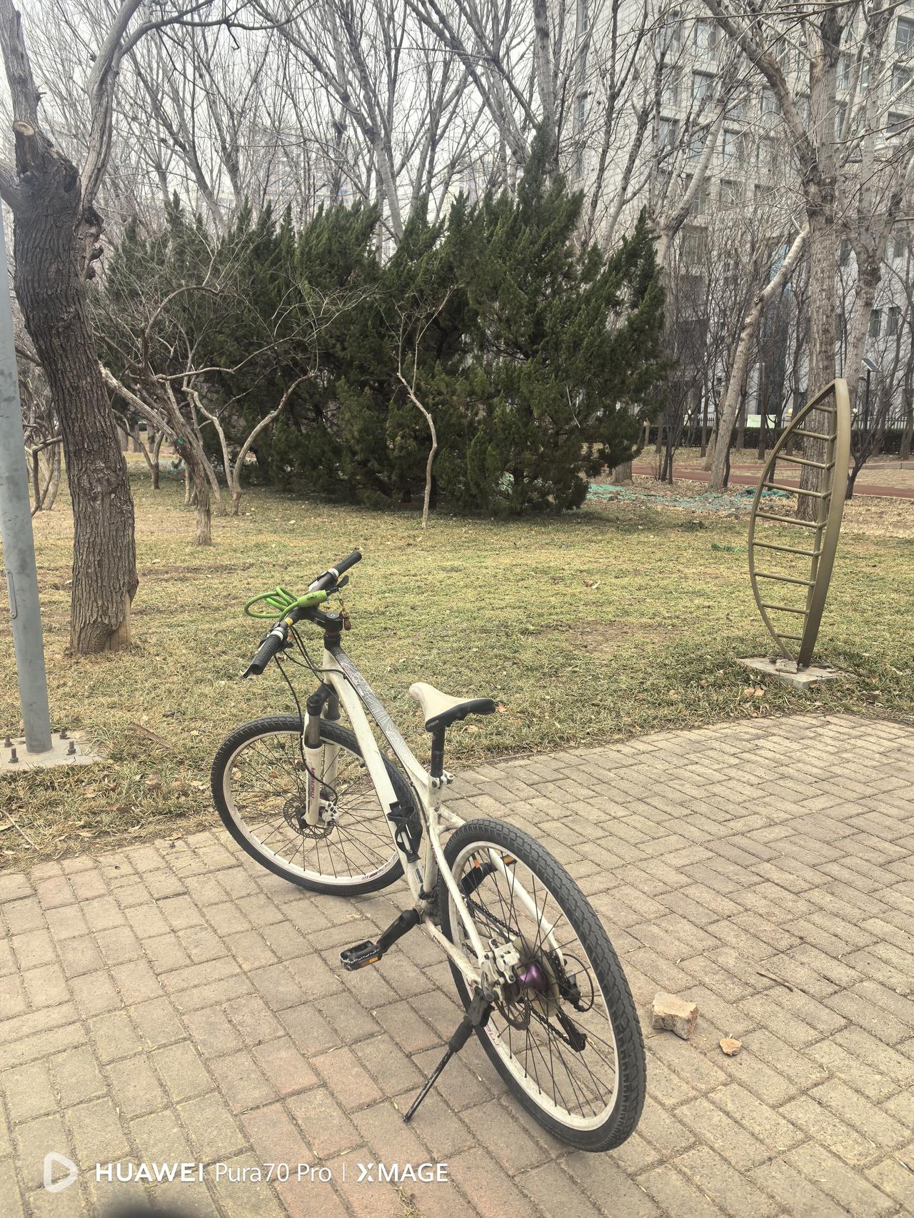 午餐，一根黄瓜，一碗焖饼。烩饼、焖饼升糖较快。午后，沿海河路、迎宾大道骑行四十分