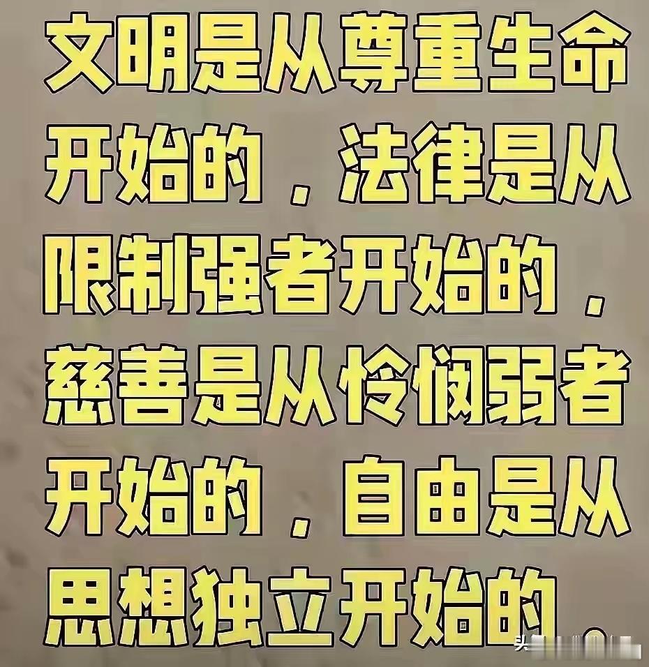 沈坤语录 文明是从尊重生命开始的，法律是从限制强者开始的，慈善是从怜悯弱者开始的