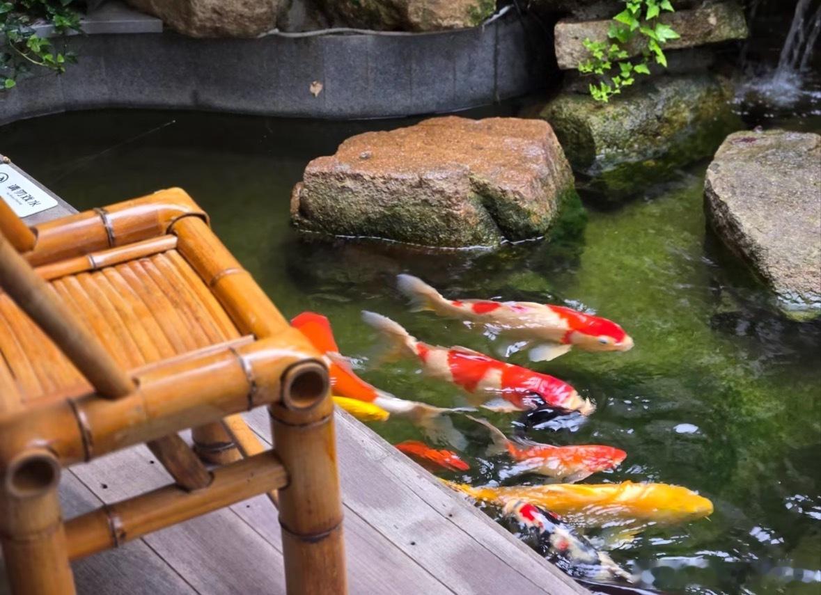 阳历8月7日立秋过后进入丙申月，对于喜金水的人群有回转趋势。进入秋季，金当令，金