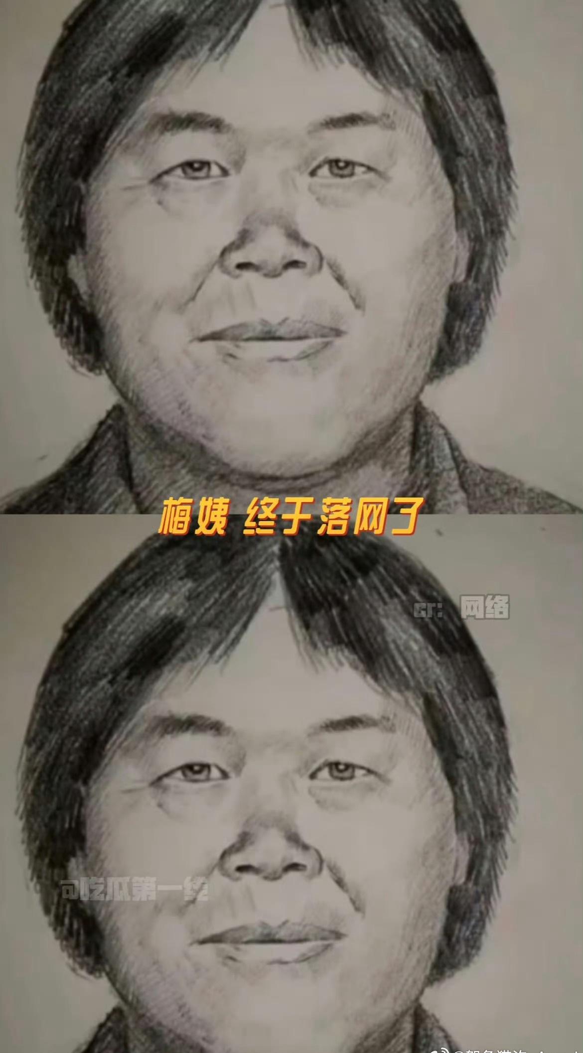 梅姨假装答应同居老人领证后失联该案折射出部分独居老人因情感缺失易被诈骗分子盯上的