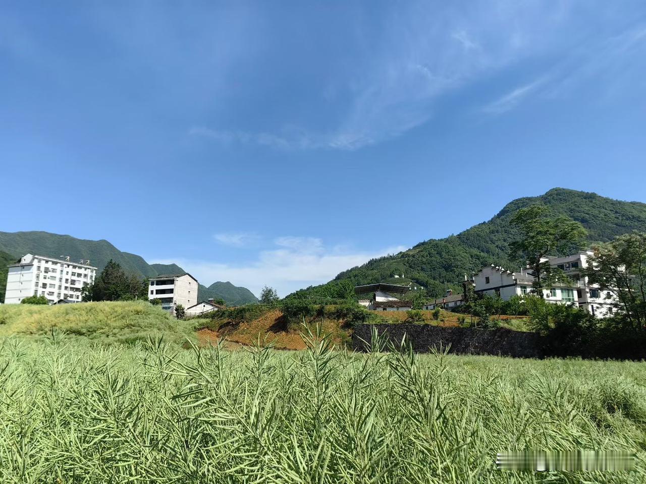 田园风光，绿意盎然，山间小屋，宁静悠然美拍荷花 田园诗意风景 田园风景小院 养眼