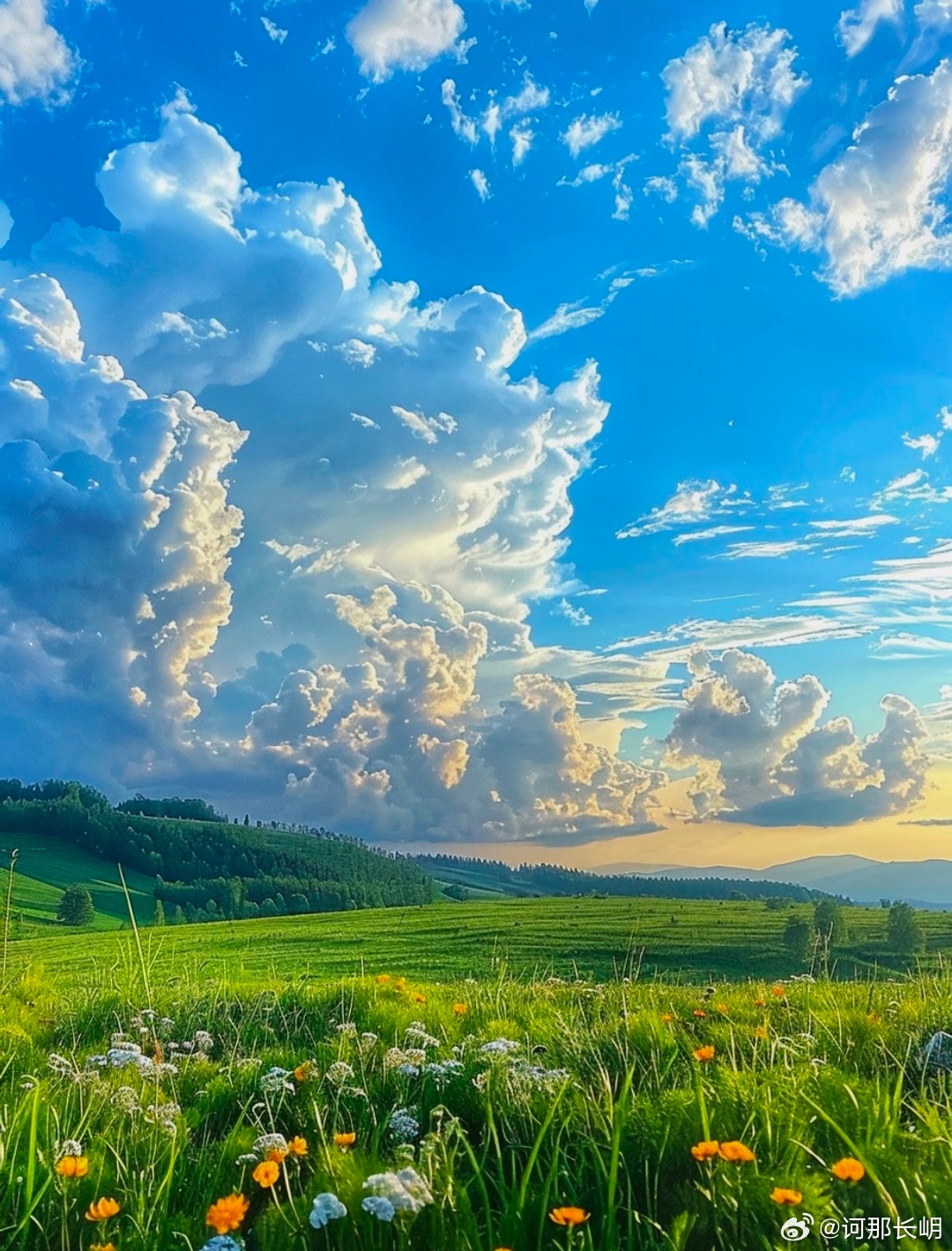 风掠过漫山的绿浪，把云揉成蓬松的棉絮。金盏花与白绒花在草甸上私语，远处的林带与远