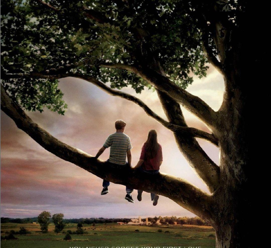 ＃你有没有因为一个片段追了一整部剧＃
   刷短视频时偶然看到一个极具吸引力的片