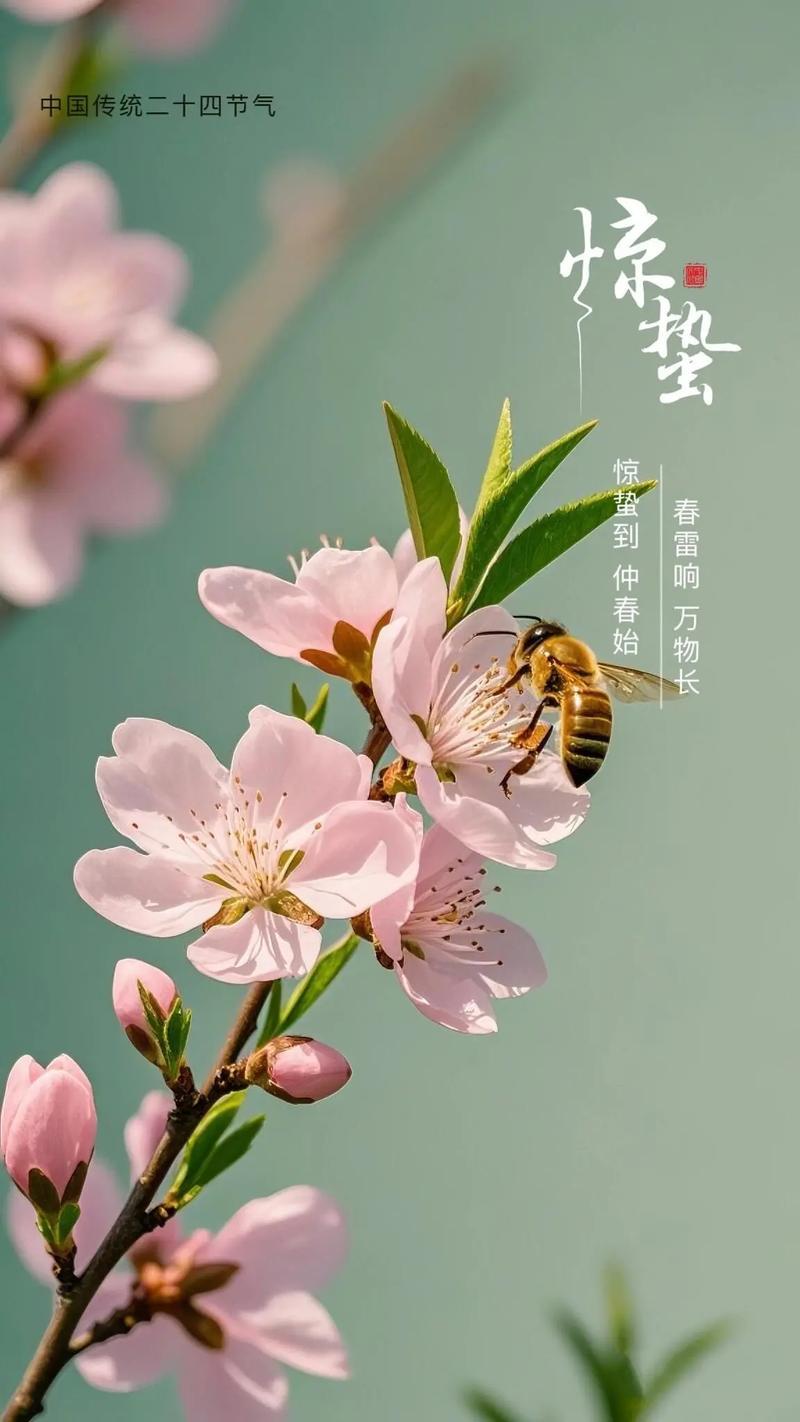 七绝惊蛰平水韵
轻雷隐隐唤虫苏，
细雨霏霏润物枯。
一夜东风开柳眼，
春山如笑入