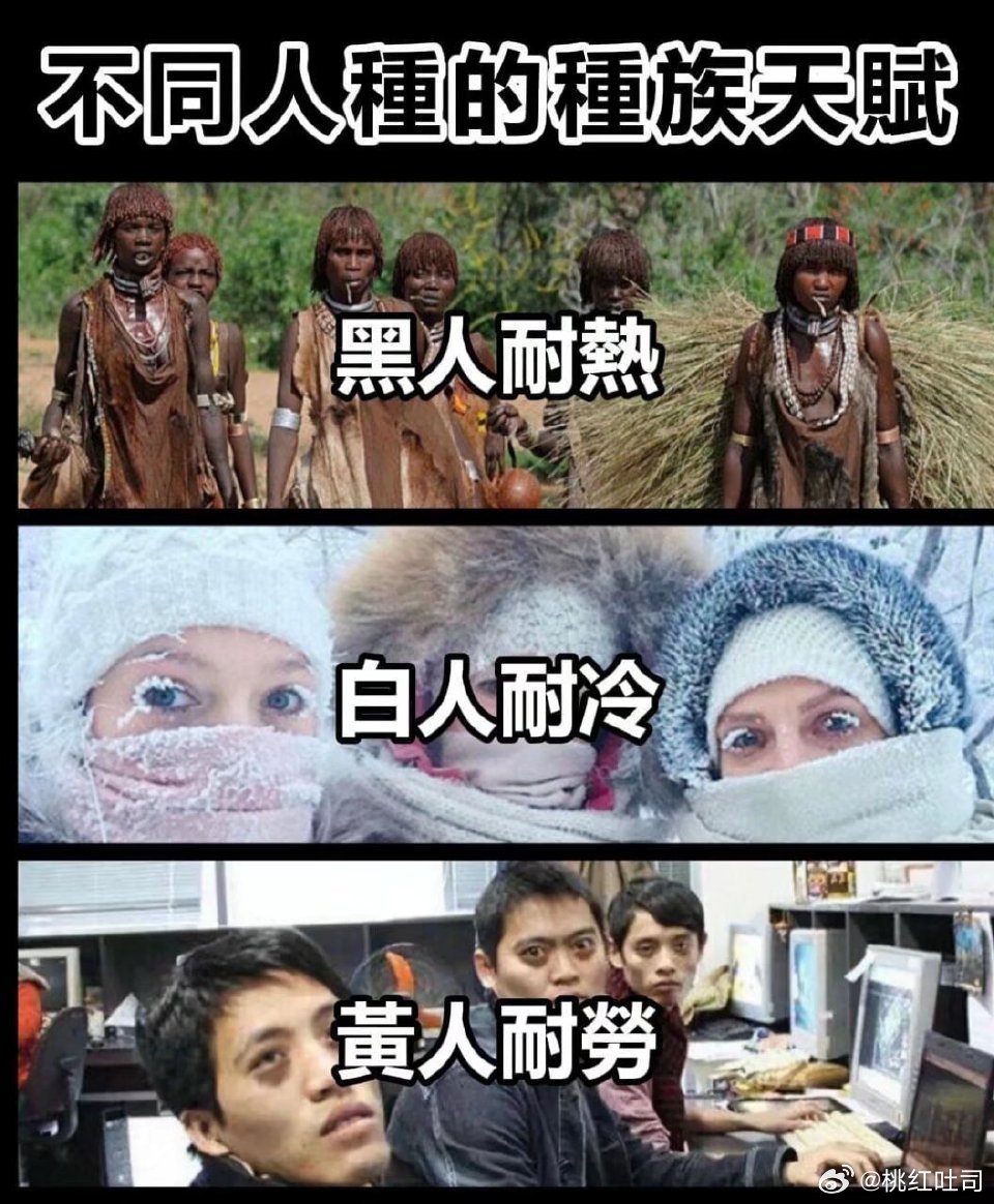 种族天赋，网友：别太真实了… 
