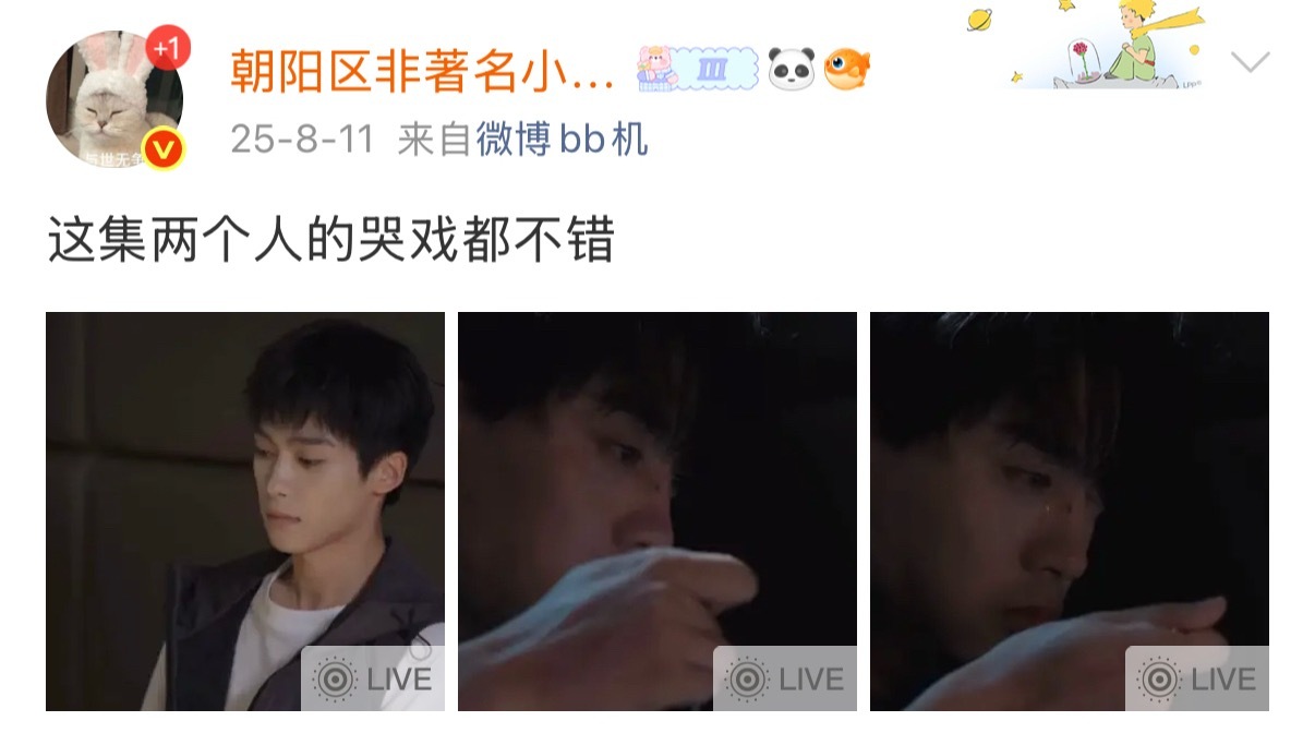 “大多时候，在互联网上的真心都是浪费 。” 