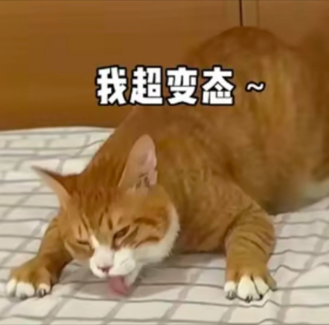 我一个变态的都觉得变态哈哈哈看到这句话，第一反应就是这只猫，不知道微博的网友有没