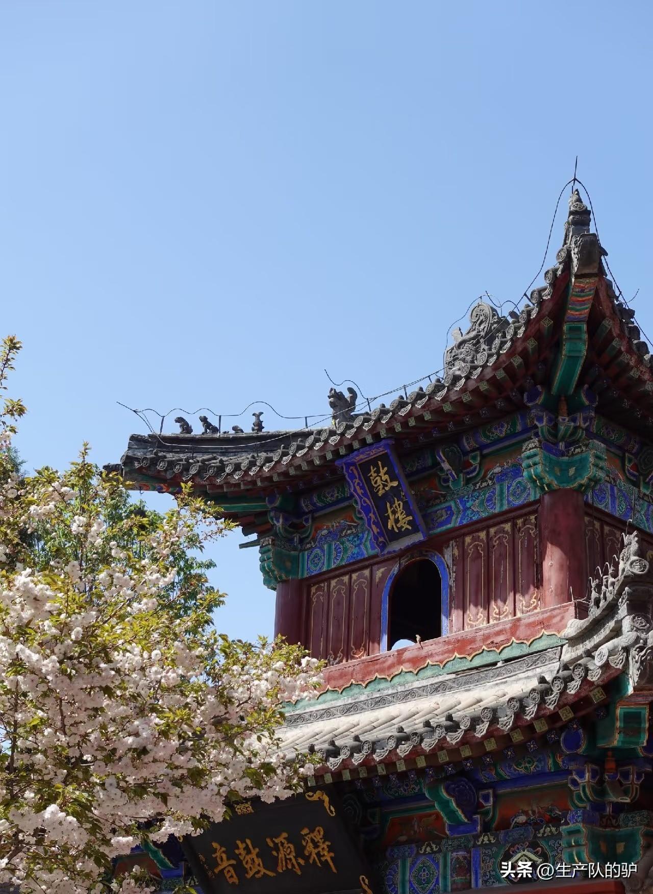 白马寺如今的模样，与许多人心中“中国第一古刹、汉传佛教祖庭”的想象，实在相去甚远