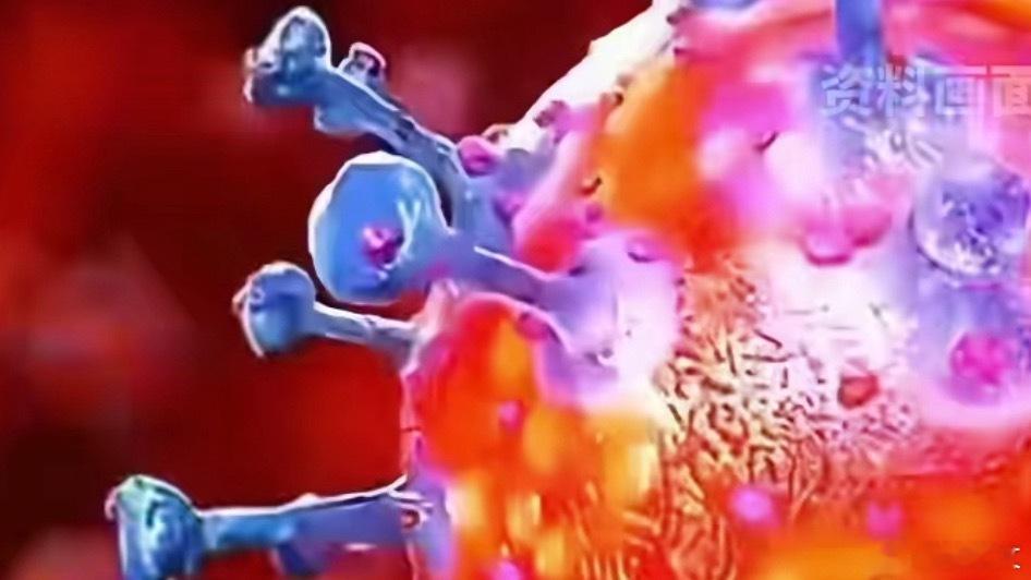 印度疫情感染者死亡率超7成  警惕！印度西孟加拉邦暴发尼帕病毒疫情，死亡率高达4