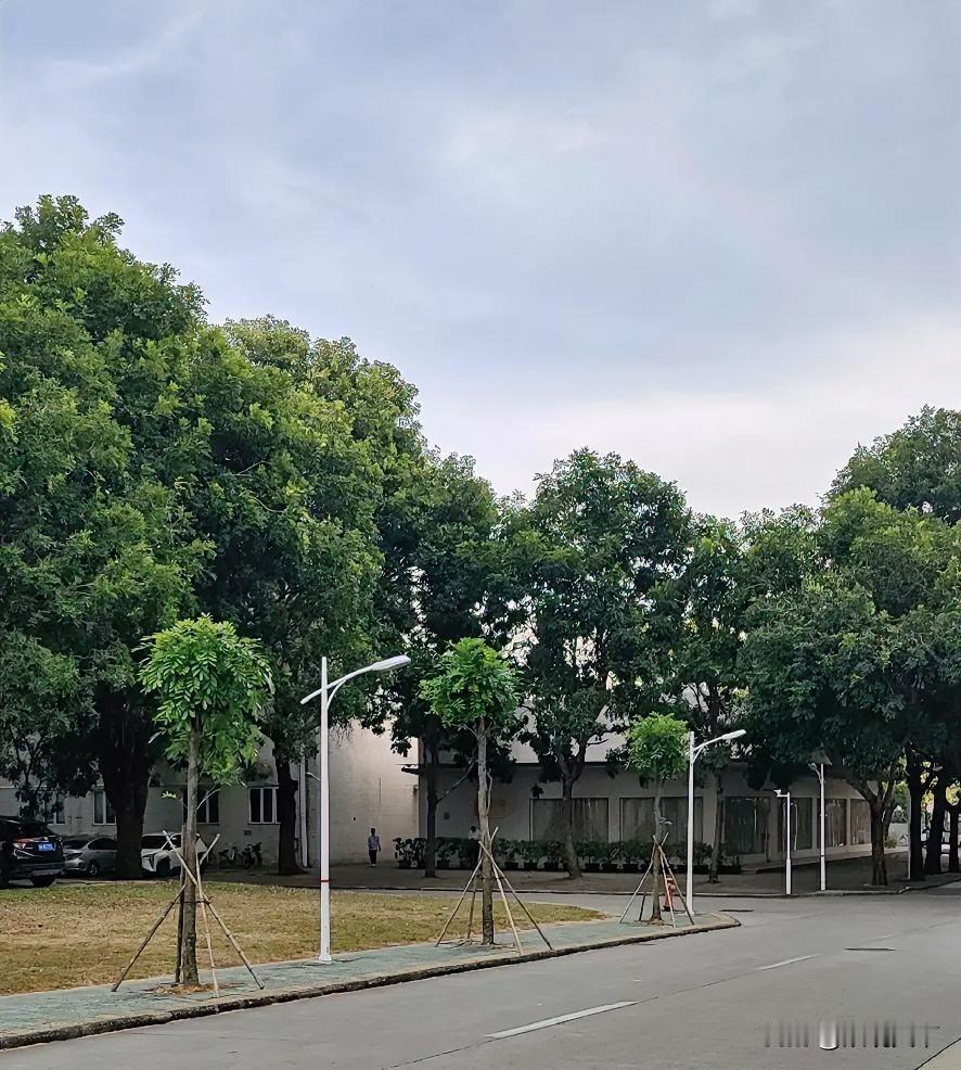 2026最想实现的事，说出来不怕你们笑
 
刷到好多人晒2026愿望，不是暴富就