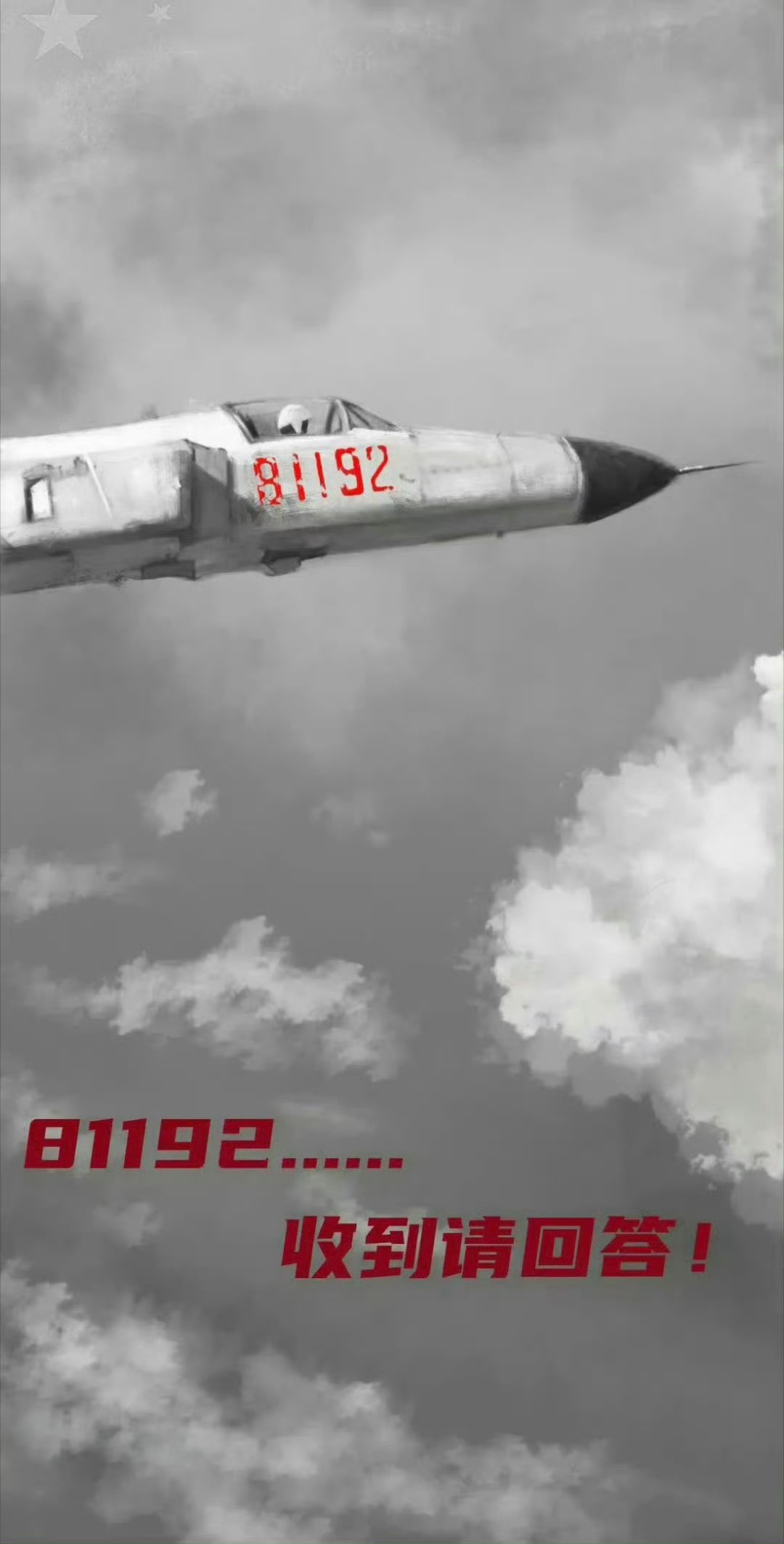 “呼叫81192，收到请回答！请立刻返航，请立刻返航…”“海空卫士”王伟，请回家