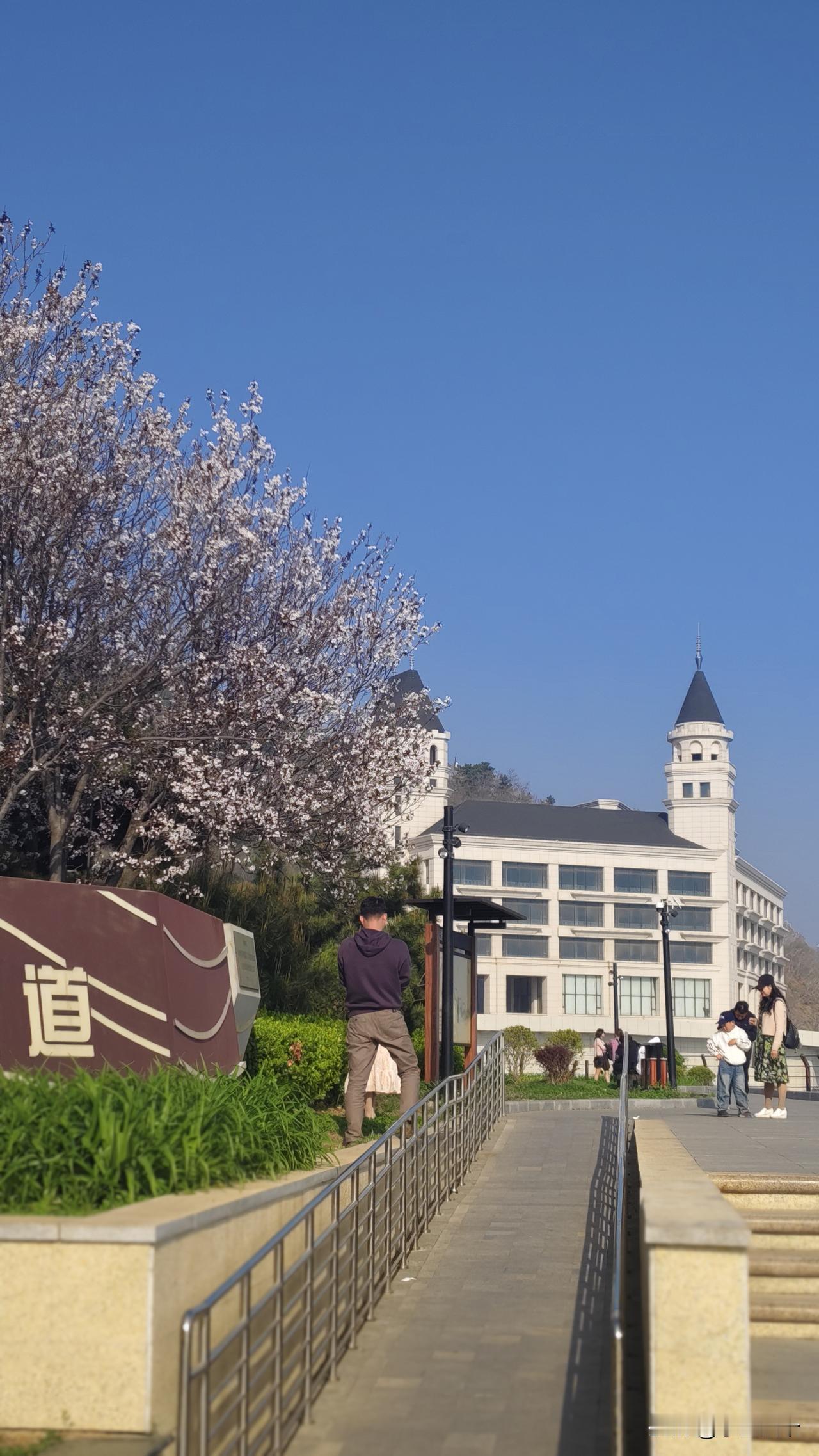 我认为不值得，我虽然不是什么资深旅游玩家，但是旅游体验还是有的，记得某年清明在苏