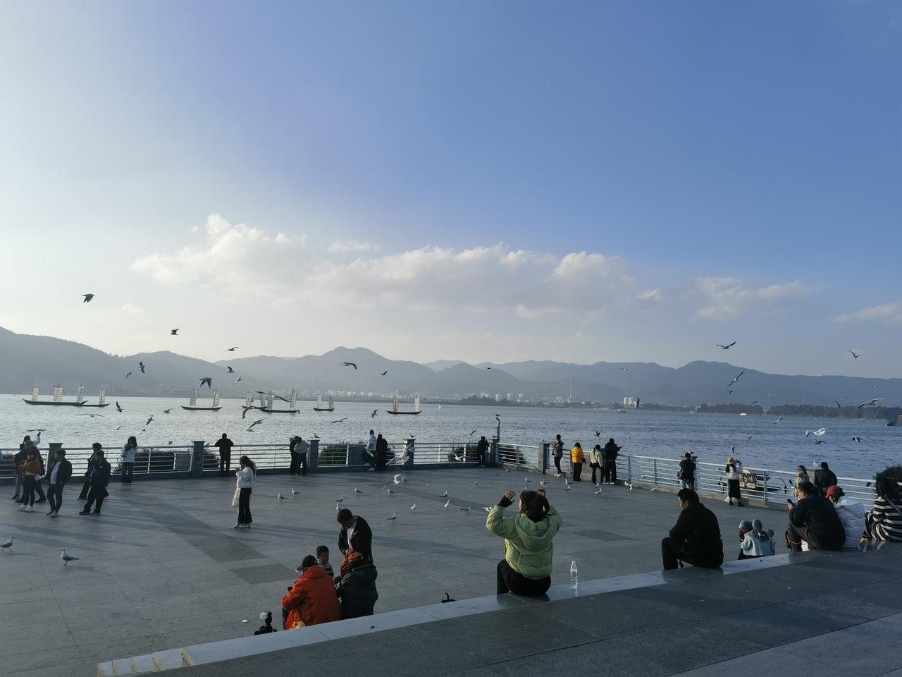 云南旅游系列篇（二）
标题：云南滇池候鸟——海鸥
每年秋季至次年暮春，滇池便成了