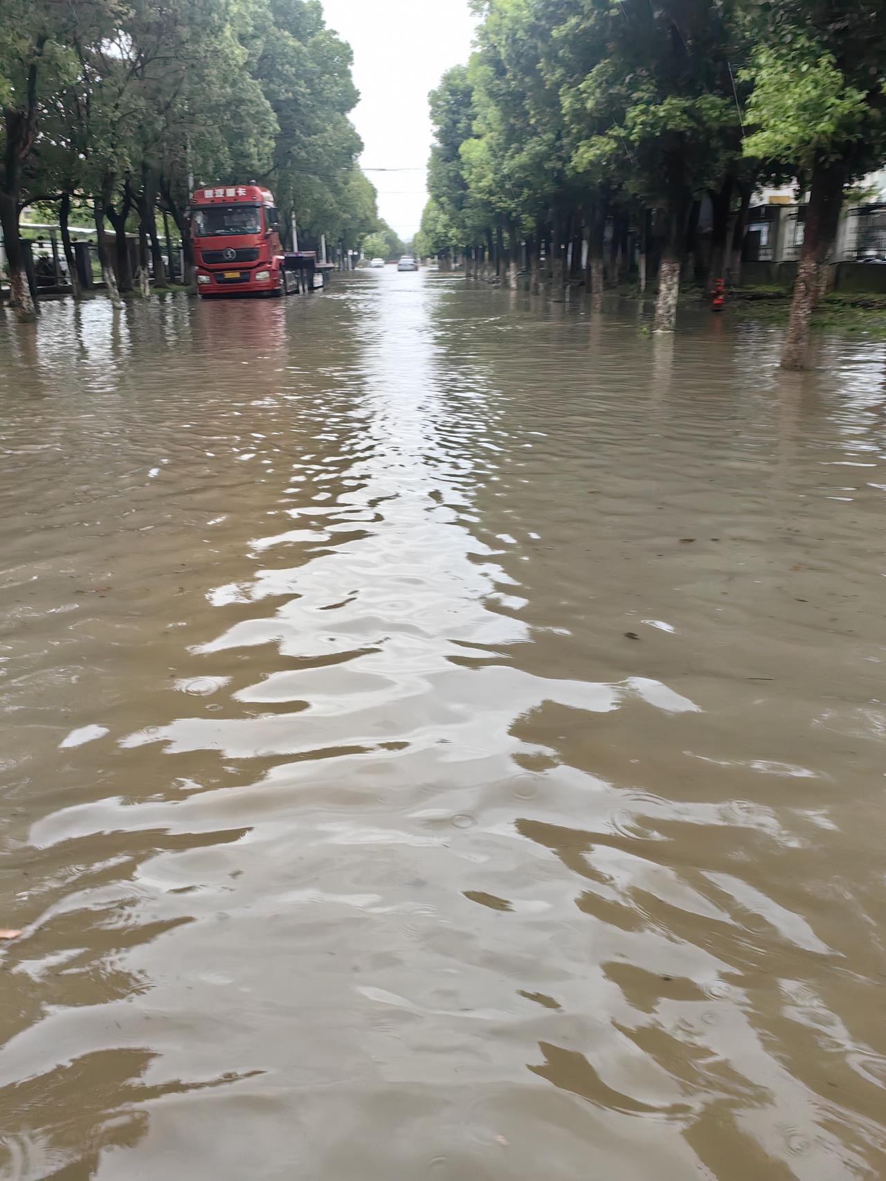 今天台风白海豚过境，然后公司门口的路被水淹了，同时也被封了，有政府的工作人员在引