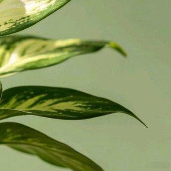 保持清醒告别无端内耗，卸下负累身心轻盈；心怀坚定冲破迷雾迷茫，奔赴前路光亮澄澈；