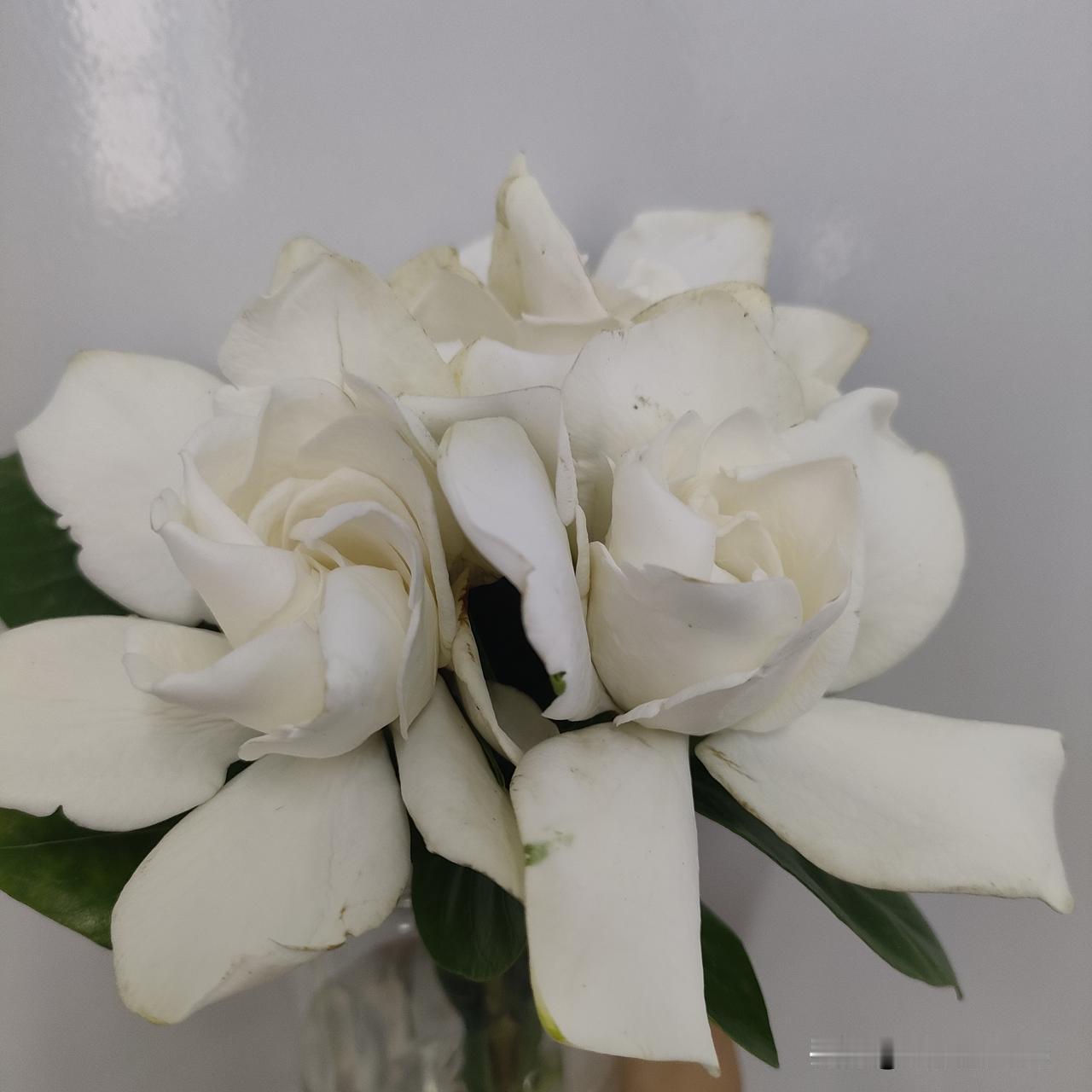 我感觉中国的教育其实有一些缺陷！从大方向来说，教育少年儿童向善向上孝顺父母，尊老