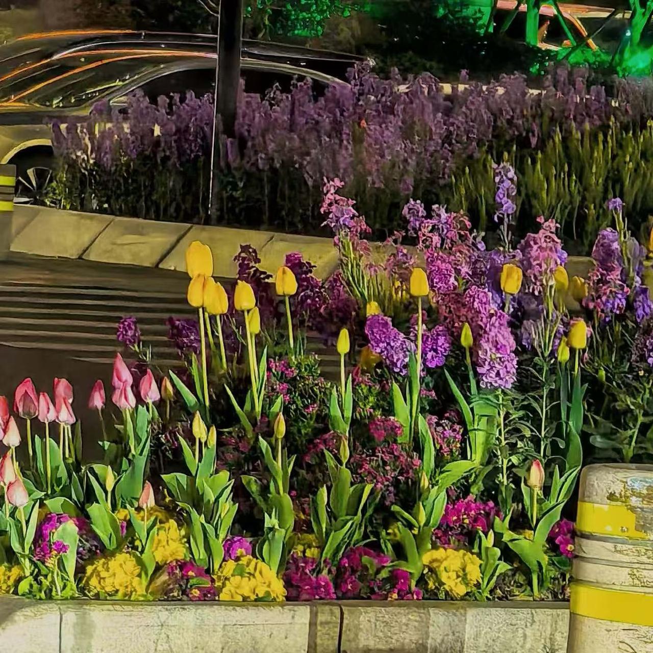 春日生活打卡季
 春日生活就是和时光的温柔约会。春天总是悄无声息地改变世界。
这