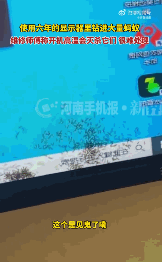苍蝇不叮无缝的蛋！云南临沧，一女子那台用了整整六年的电脑显示器，桌面平时抹得锃亮
