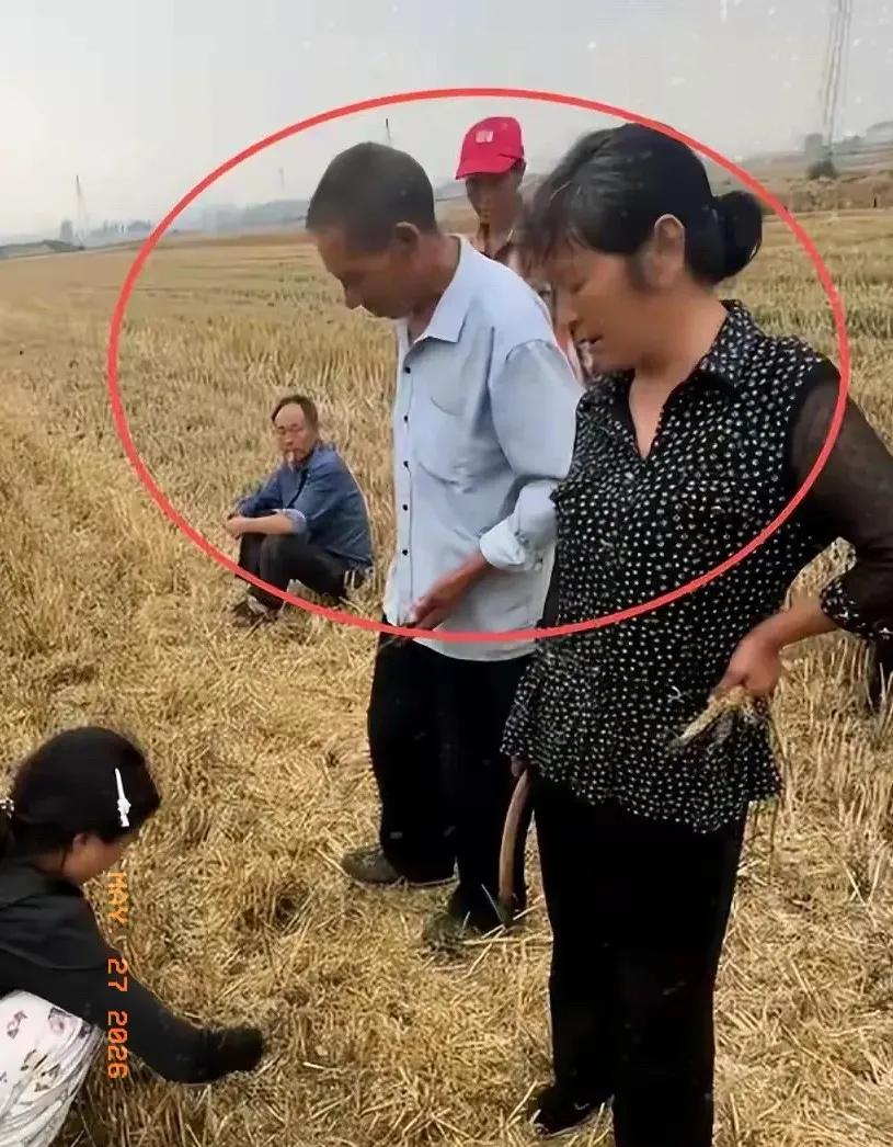 太闹心！
湖北大娘和田亩师傅争执，
耽误全村收割
真没想到乡里乡亲，能为几亩地闹