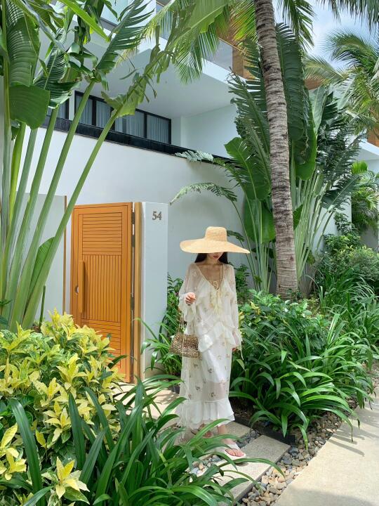 绿野仙踪🌴