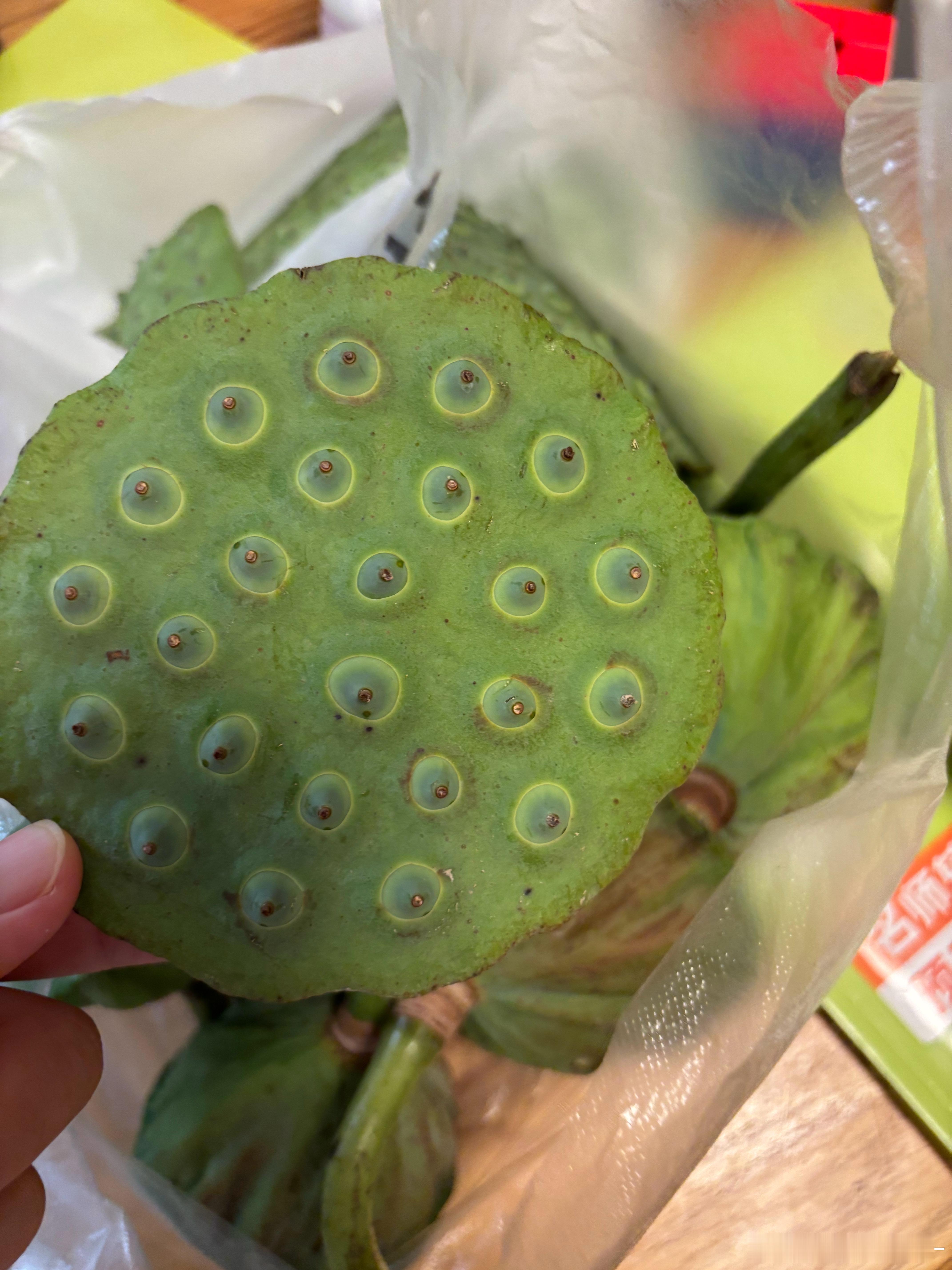 许久没吃过新鲜的嫩莲子了 
