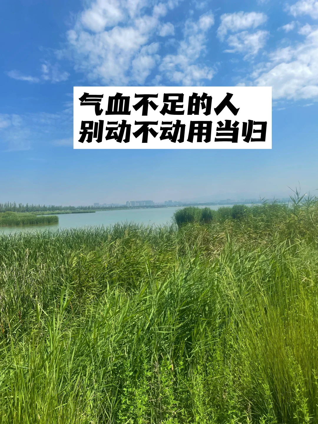 气血不足的人，别动不动用当归.