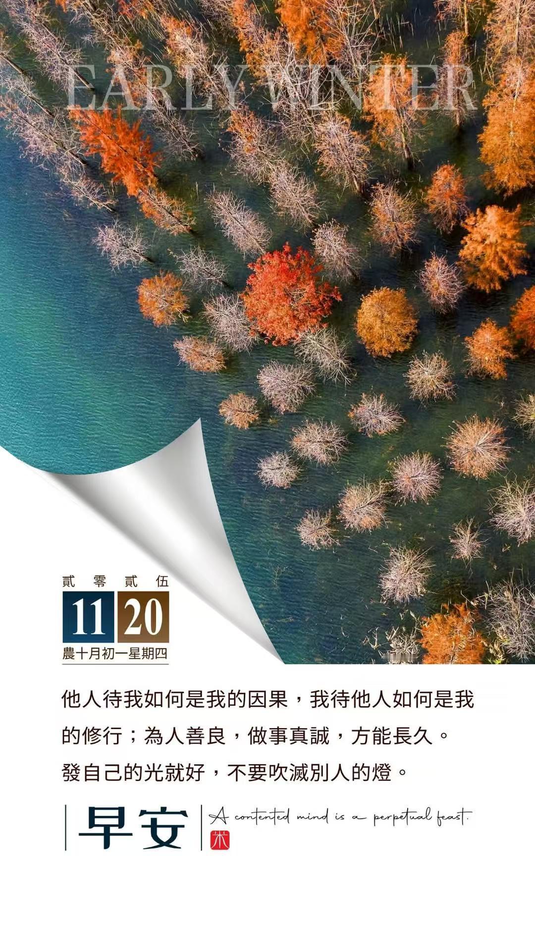 原发性高血压、2型糖尿病、哮喘、阿尔茨海默病、类风湿关节炎、银屑病（牛皮癣）、慢