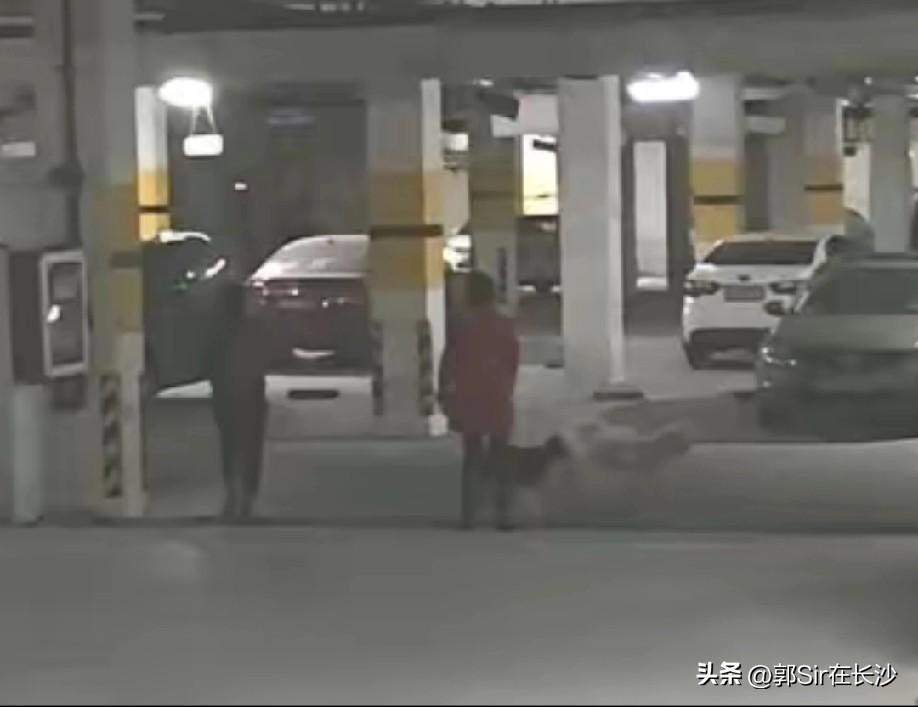 长沙下了一个月的雨了，你家地下车库有没有成遛狗专用？湘江世纪城作为长沙居住人数最