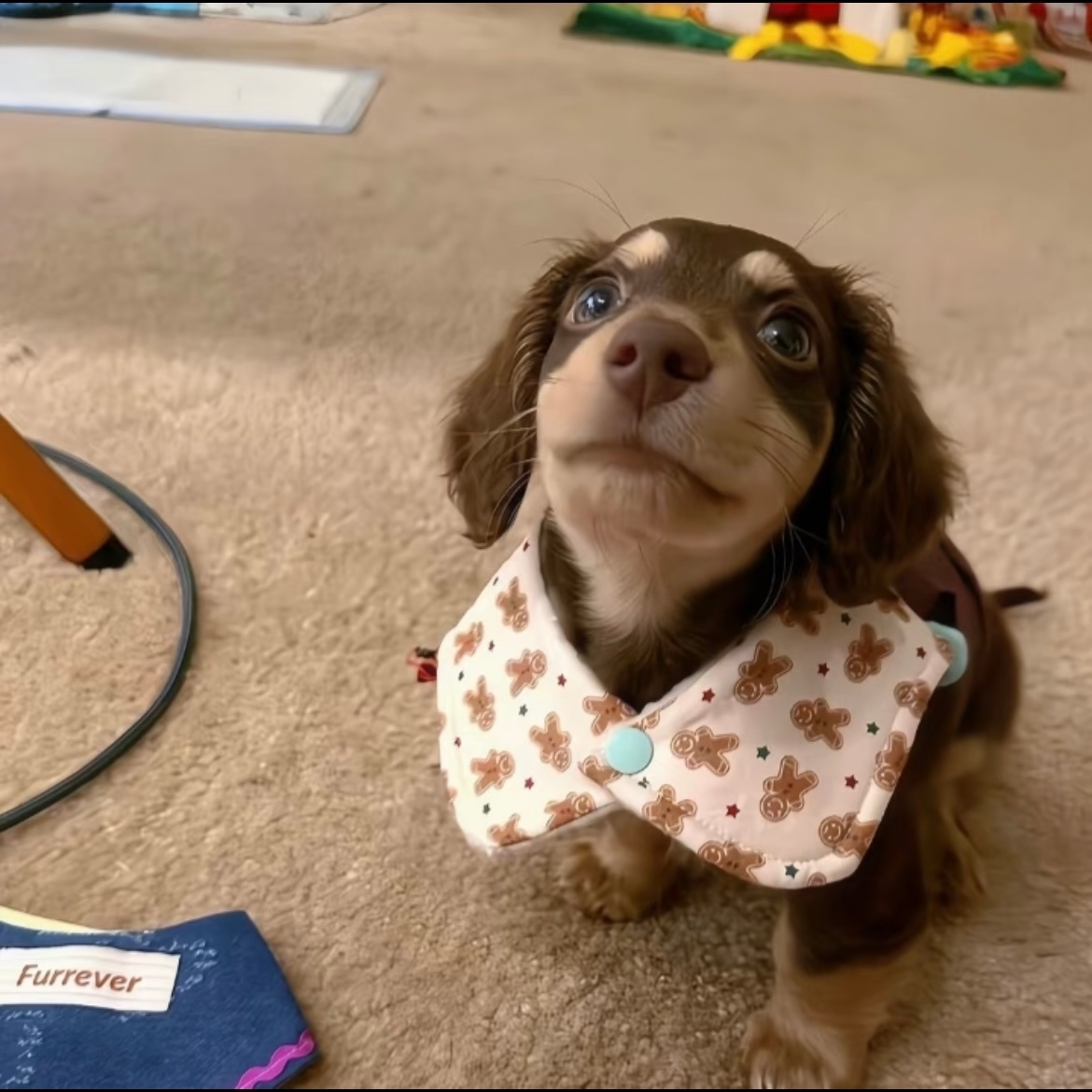 WeChat 聊天背景图｜简约ins风 ​​​