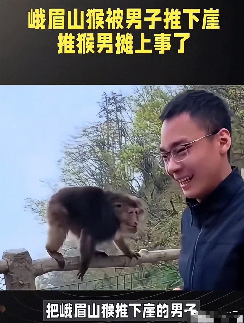 峨眉山推猴男子社会性死亡！
底裤被扒，正脸照曝光，
结局大快人心。

猴子正啃着