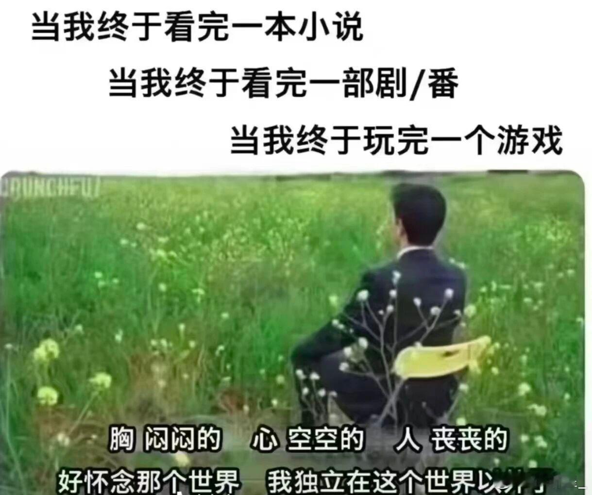 当我终于看完一本小说完全中招完结恐惧症，合上书的那一刻莫名失落，熟悉的人物故事就