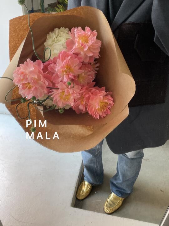 PIMMALA｜解锁关于珊瑚的一系列