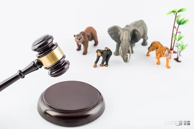 吉林这10人在禁猎区捕蛇被判了刑，这事儿给咱提了个醒，非法狩猎可不能干。“三有”