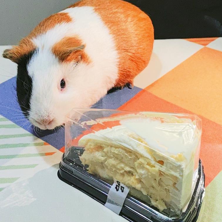 两地分居3年，老公晚上给我点了21块钱的榴莲千层蛋糕，这就是爱……

谁不喜欢吃