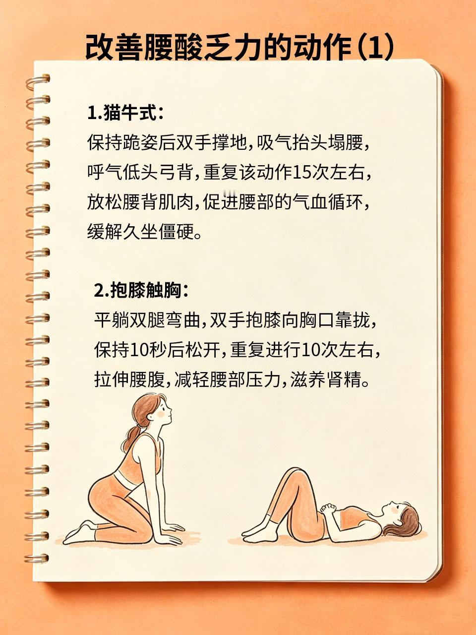 久坐伤腰肾！4个动作腰酸乏力全改善
久坐会导致腰肾气血不畅，长期下来易腰酸乏力、