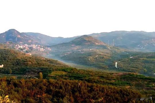 想起7O，8O年代，杀年猪，心里挺酸楚。7O年代，全村只养几头猪，一般的百姓人家