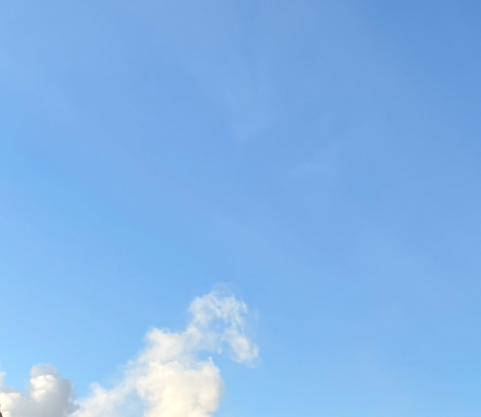 今天和朋友出去吃饭，她还在骂她的前夫。有的时候觉得婚姻就是一个笑话，女人总觉得男