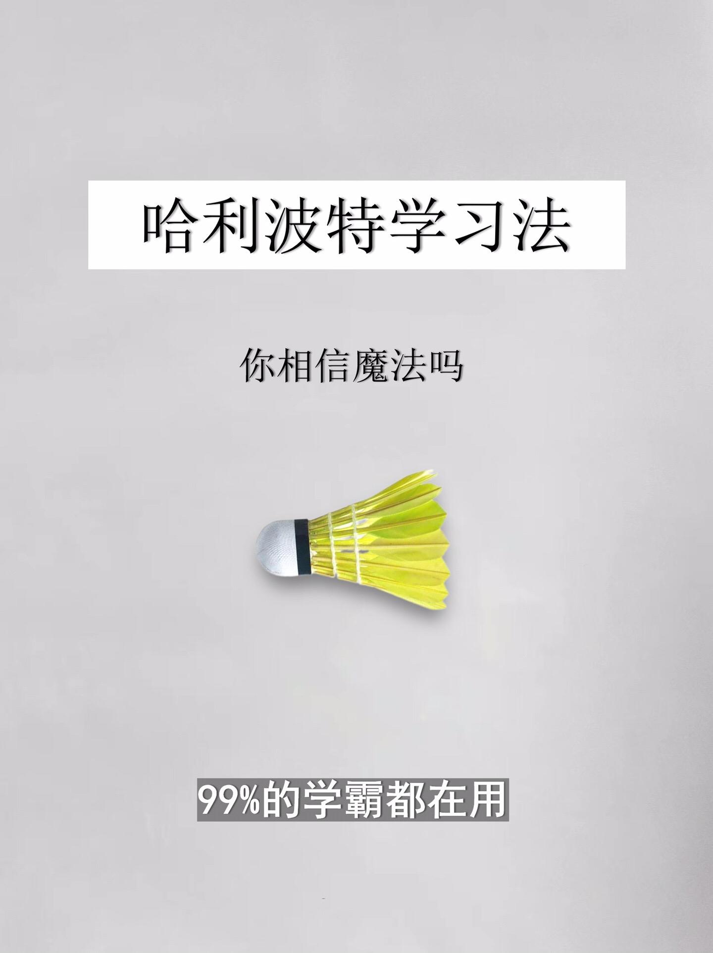 学习方法-哈利波特学习法。