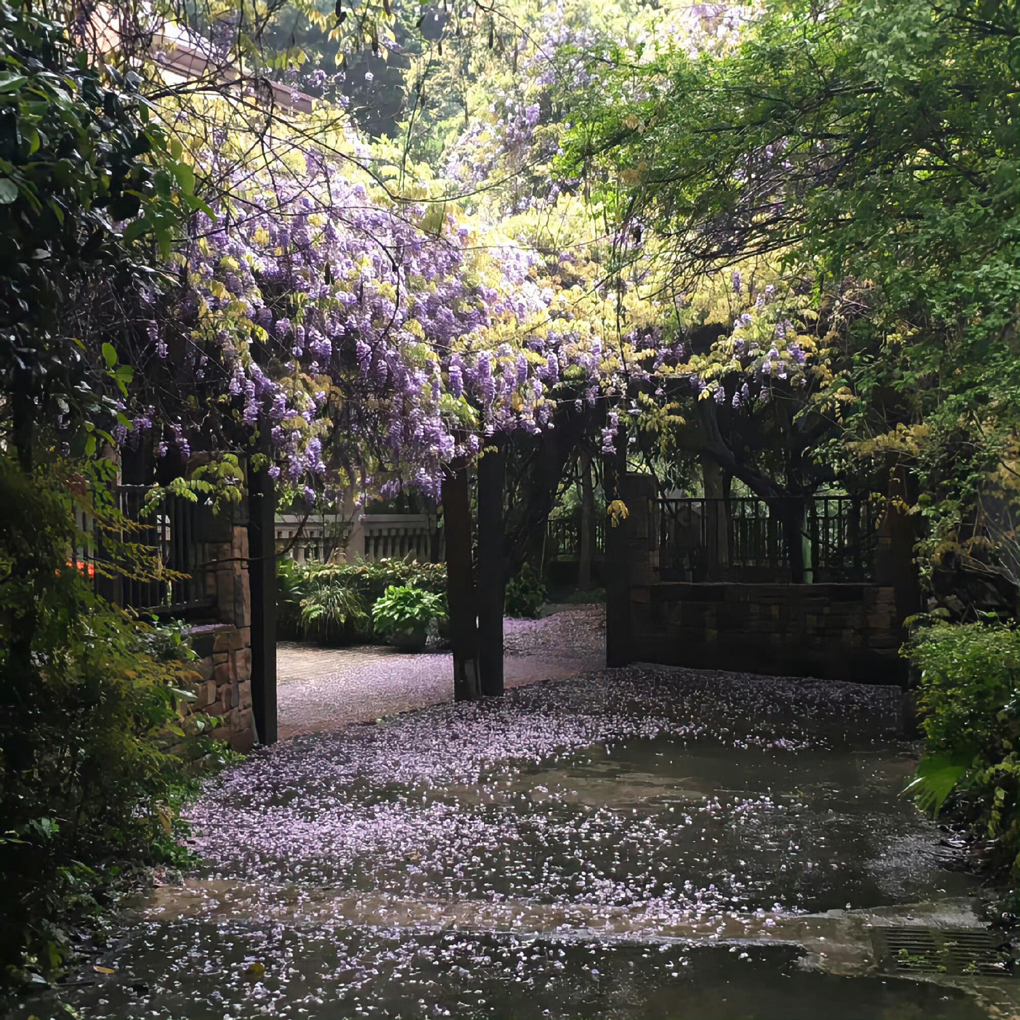 𝐰𝐞𝐜𝐡𝐚𝐭丨小眾背景图丨ins风背景图分享 