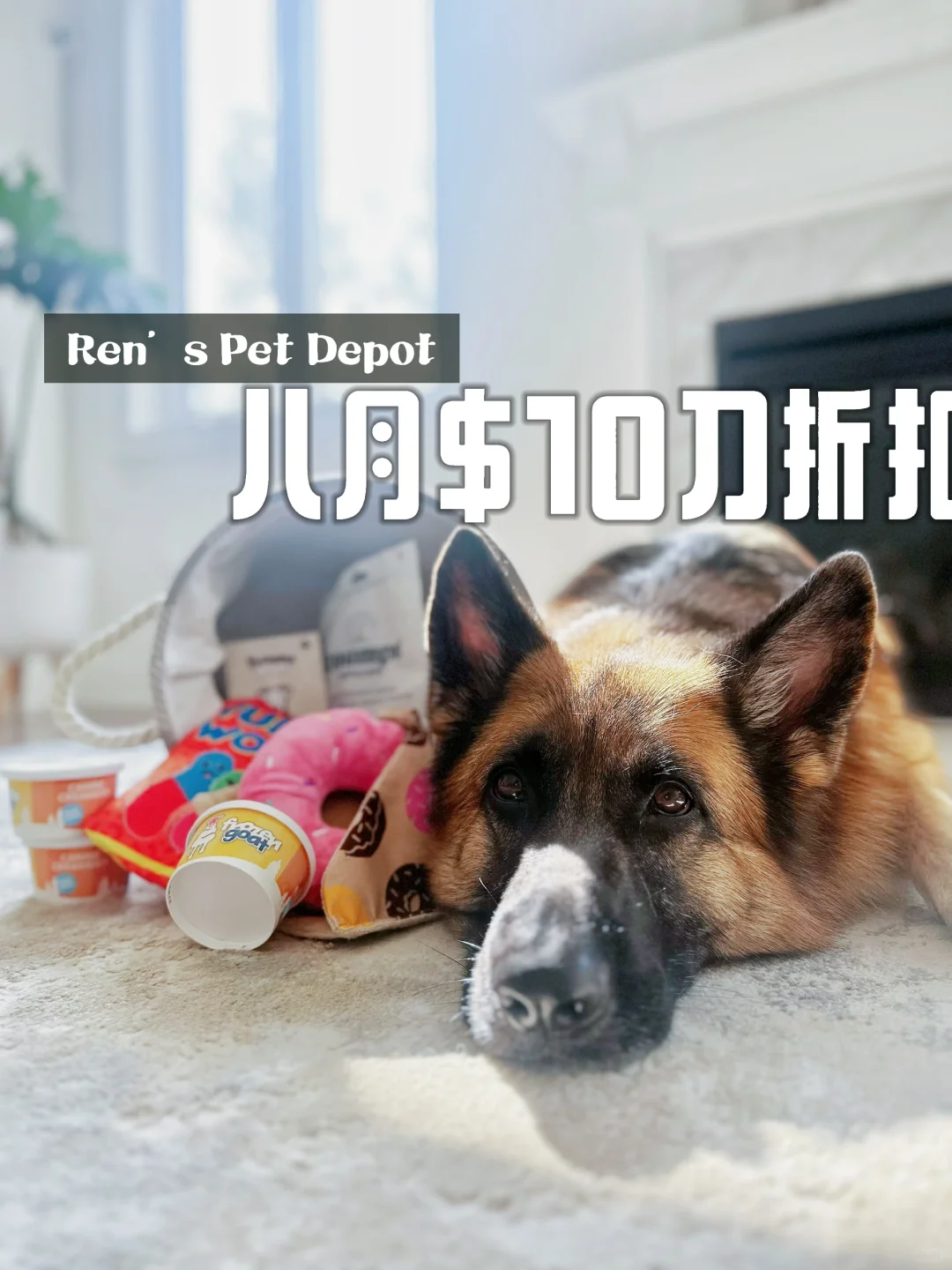 Ren’s Pets 八月$10刀折扣码来咯！