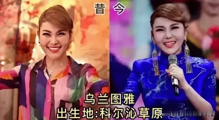 腾格尔、韩磊、杨魏玲花、杨坤，这些从内蒙古草原走出来的艺术家，撑起了华语乐坛和影