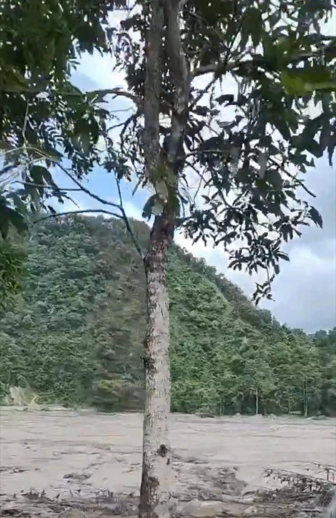 尼泊尔山洪已致289死今天，尼泊尔搜救出许多遗体，有的只有半身，大腿都没有。还有